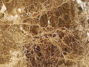 Emperadordark | Granit Tezgah Ankara